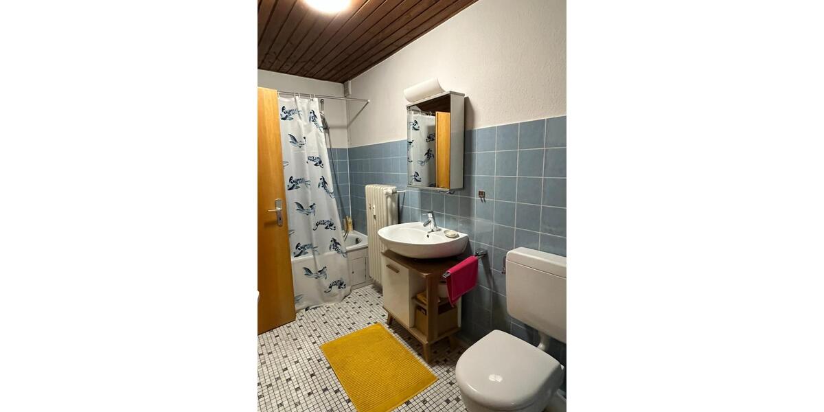 Dachgeschoßwohnung Neu-Isenburg Isenburg - 1 Zimmer, 52 m&sup2;, 700&euro; | Angebot:25975686