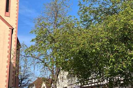 Haus Gelnhausen - 6 Zimmer, 158 m&sup2;, 640.000&euro; | Angebot:26055296