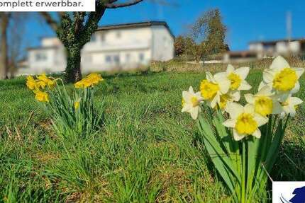 Grundstück Ranstadt - 83.750&euro; | Angebot:25915227