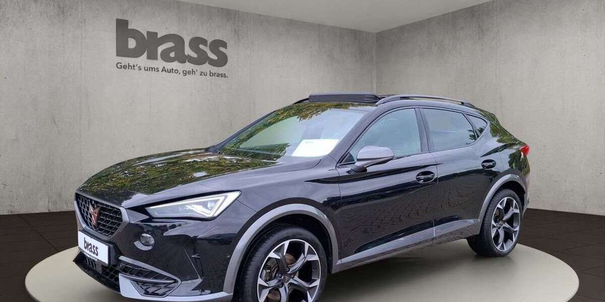 Cupra Formentor 90.860 km 24.880 &euro; Frankfurt-Rödelheim 60488