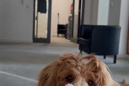 Gewerbeobjekt Frankfurt am Main - 300&euro; | Angebot:25968050