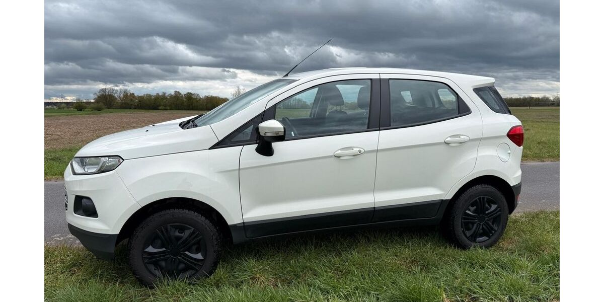 Ford EcoSport 76.000 km 8.900 &euro; Rodenbach 63517