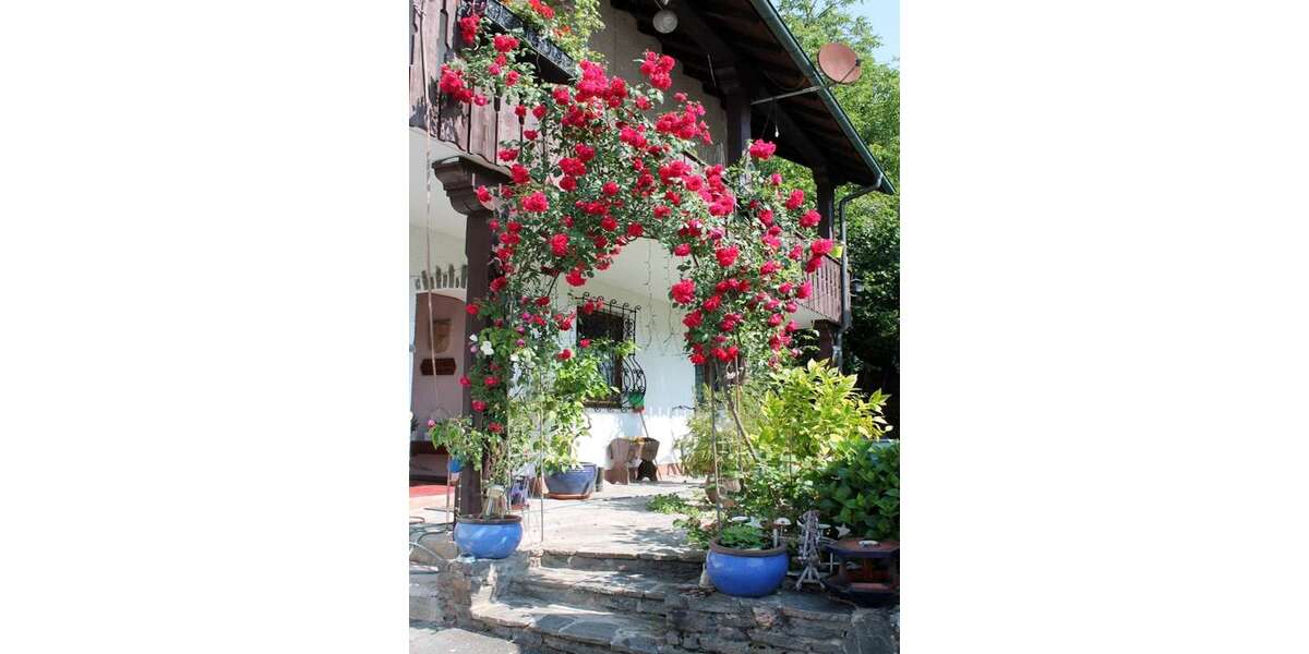 Einfamilienhaus Glattbach - 6 Zimmer, 216 m&sup2;, 575.000&euro; | Angebot:13783455