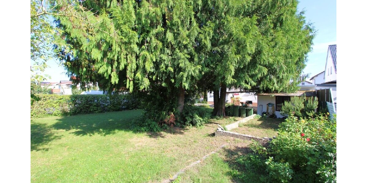 albero:) Renditeobjekt gekauft - Baugrundstück gratis - Einfamilienhaus Babenhausen Hergershausen | Angebot:23278494