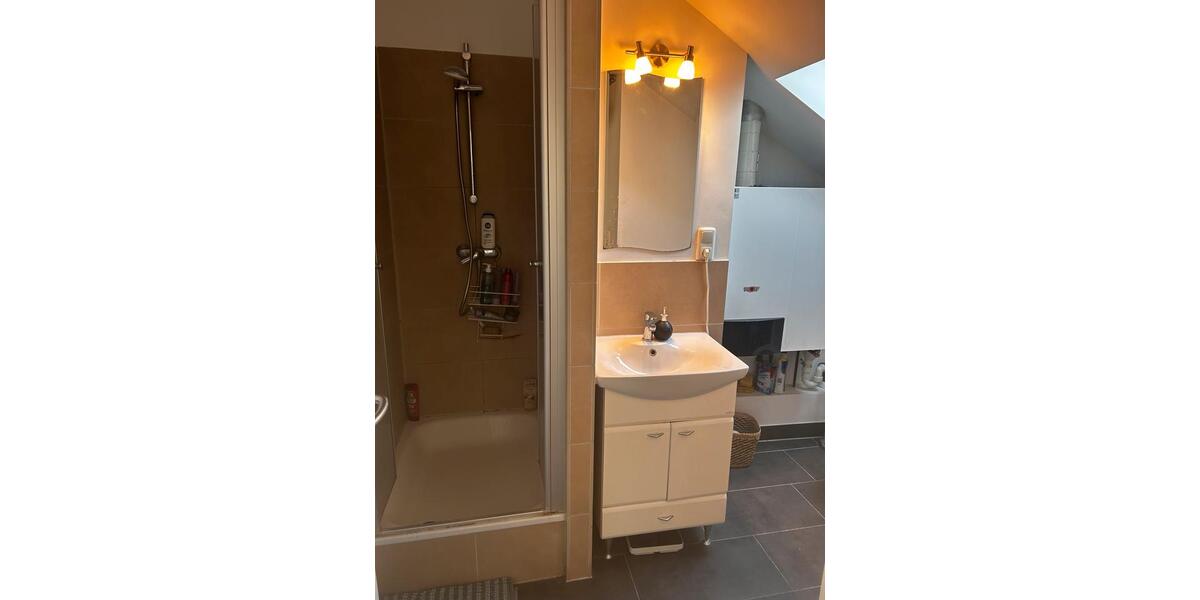 Dachgeschoßwohnung Frankfurt am Main Nordend Ost - 1 Zimmer, 105 m&sup2;, 675&euro; | Angebot:25479987