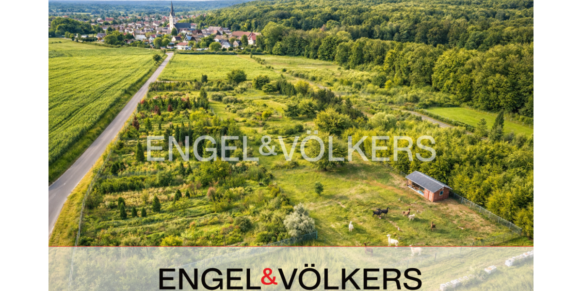 Grundstück Messel - 485.000&euro; | Angebot:25991829