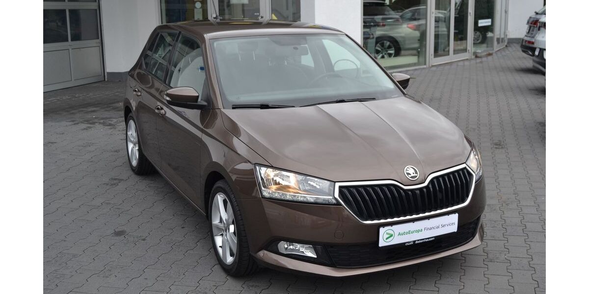 Skoda Fabia 76.000 km 12.490 &euro; Babenhausen 64832