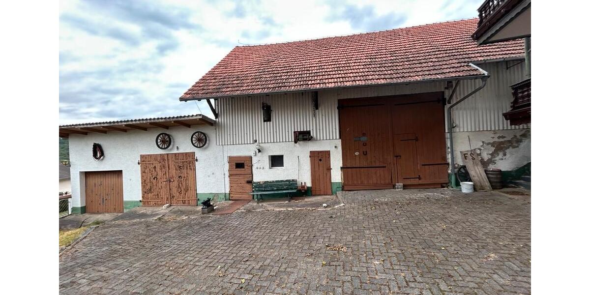 Mehrfamilienhaus, Wohnhaus Biebergemünd - 22 Zimmer, 390 m&sup2;, 365.000&euro; | Angebot:25103282