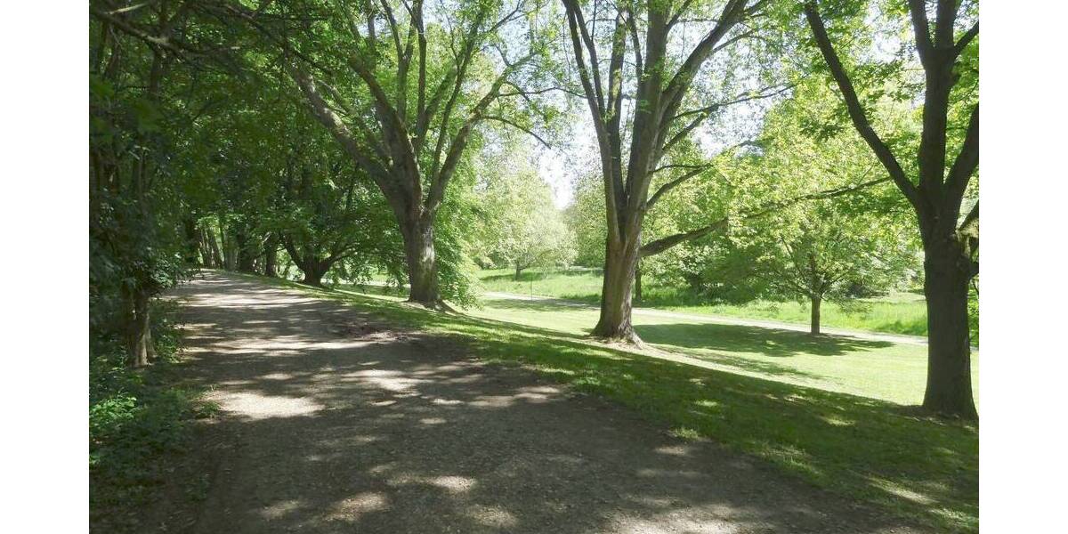 Mehrfamilienhaus, Wohnhaus Frankfurt am Main Sossenheim - 1 Zimmer, 1.850.000&euro; | Angebot:25800372