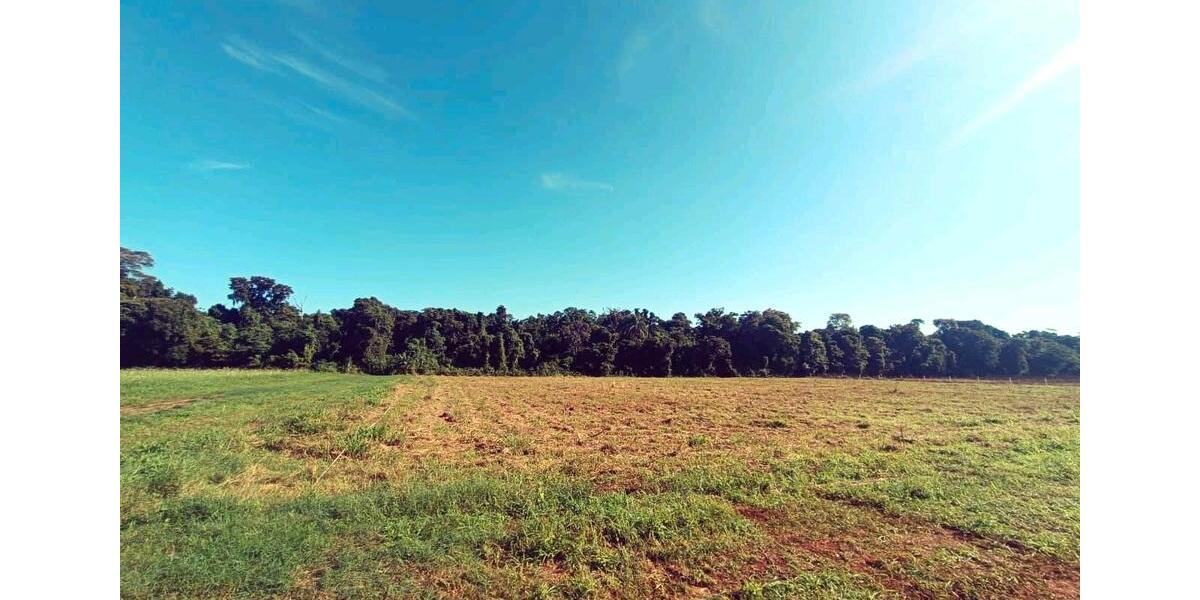 Ferienimmobilie Frankfurt am Main Sachsenhausen - 6.570&euro; | Angebot:23737197