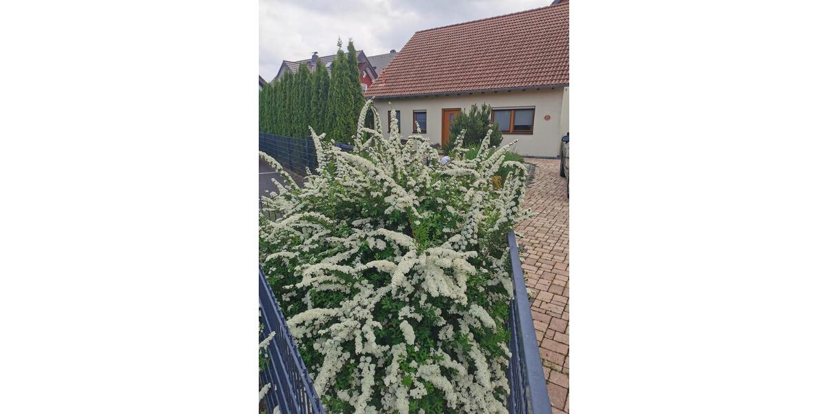 Einfamilienhaus Büdingen - 7 Zimmer, 163 m&sup2;, 650.000&euro; | Angebot:25900348