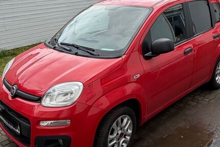 Fiat New Panda 97.000 km 5.590 &euro; Bad Vilbel 61118