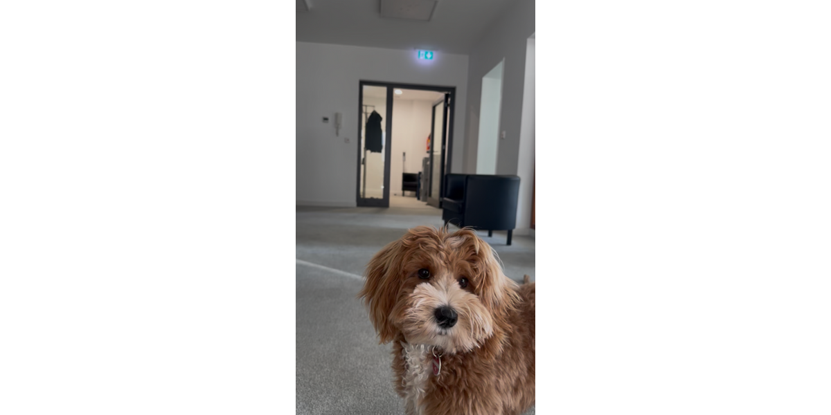 Gewerbeobjekt Frankfurt am Main - 950&euro; | Angebot:26077454