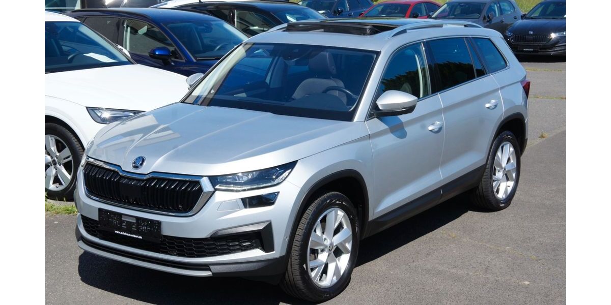 Skoda Kodiaq 130.000 km 26.555 &euro; Großkrotzenburg 63538