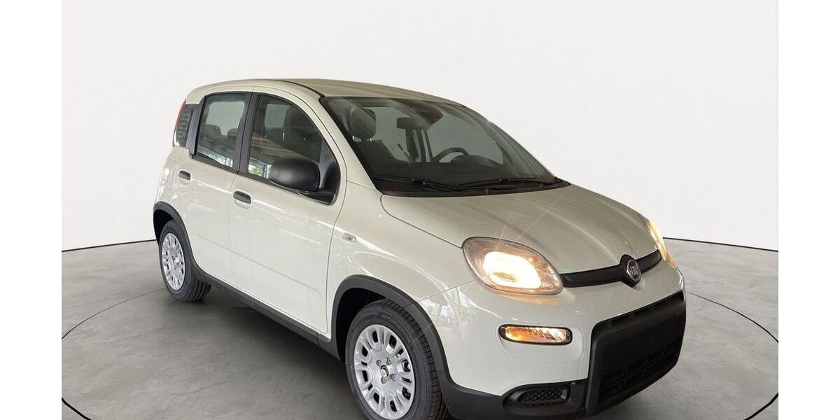 Fiat Panda 12.901 km 12.460 &euro; Oberursel 61440