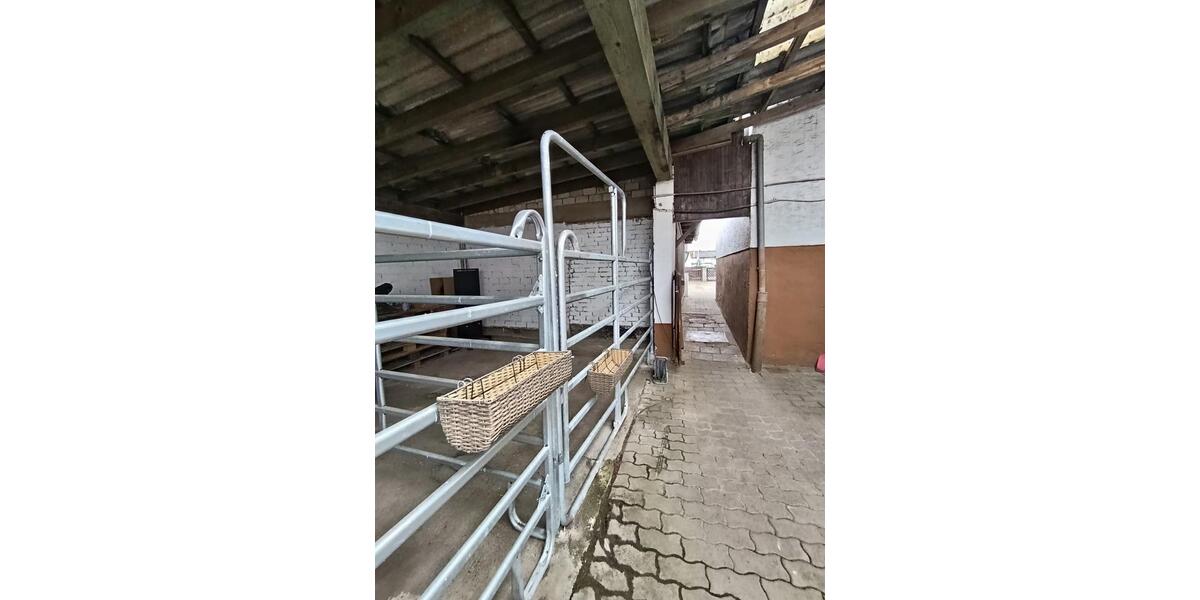 Bauernhaus, Landhaus Limeshain - 4 Zimmer, 112 m&sup2;, 379.000&euro; | Angebot:26578044