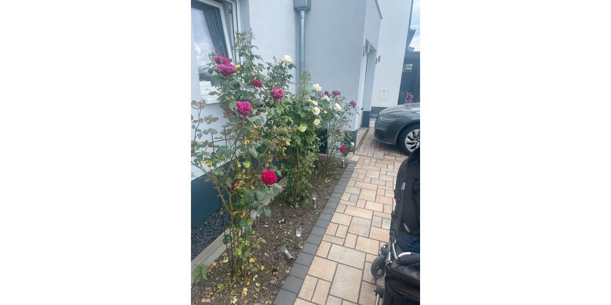 Doppelhaushälfte Erlensee - 5 Zimmer, 160 m&sup2;, 1.900&euro; | Angebot:25810667