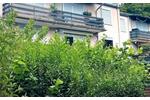 Etagenwohnung Bad Homburg vor der Höhe Gonzenheim - 3 Zimmer, 72 m&sup2;, 265.000&euro; | Angebot:26943090