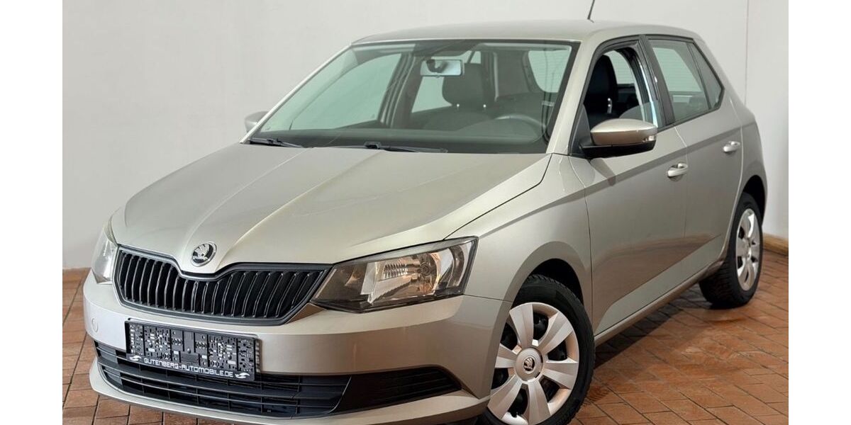 Skoda Fabia 118.000 km 5.990 &euro; Rodgau 63110