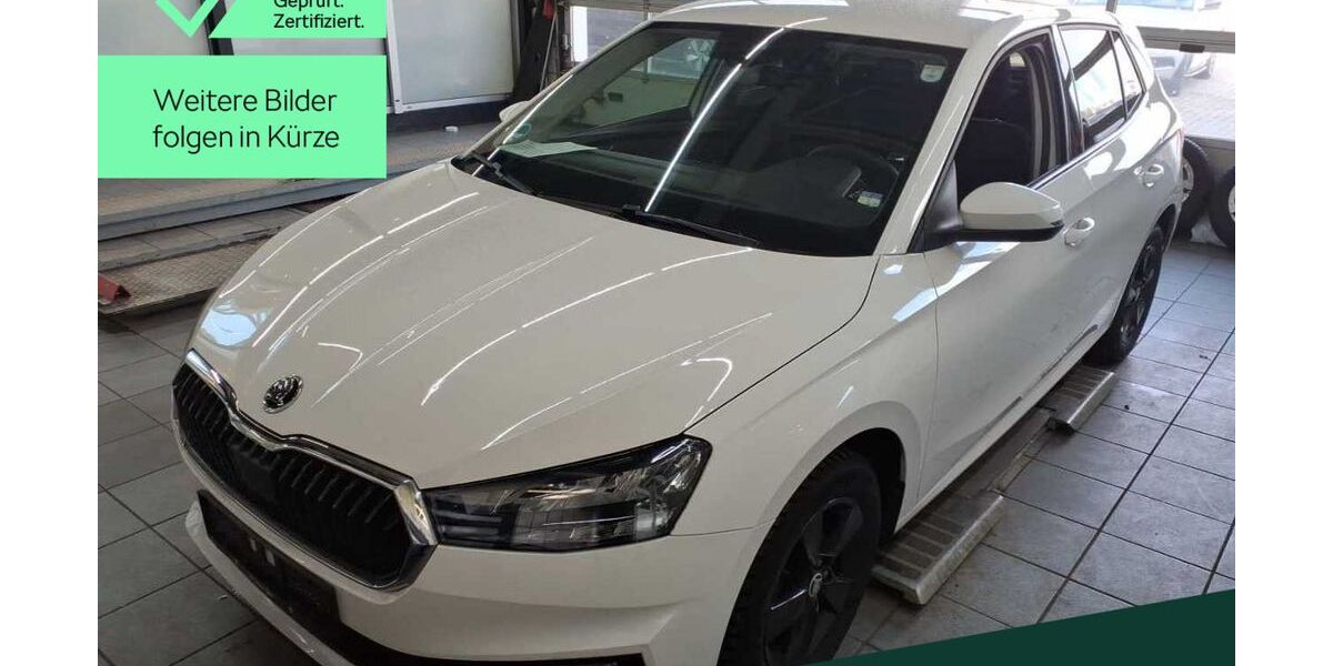 Skoda Fabia 55.800 km 18.888 &euro; Mühlheim 63165