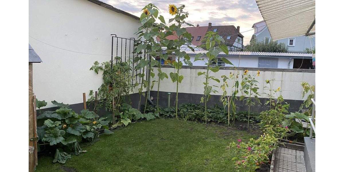 Mehrfamilienhaus, Wohnhaus Hanau Großauheim - 1 Zimmer, 204 m&sup2;, 320.000&euro; | Angebot:25760326