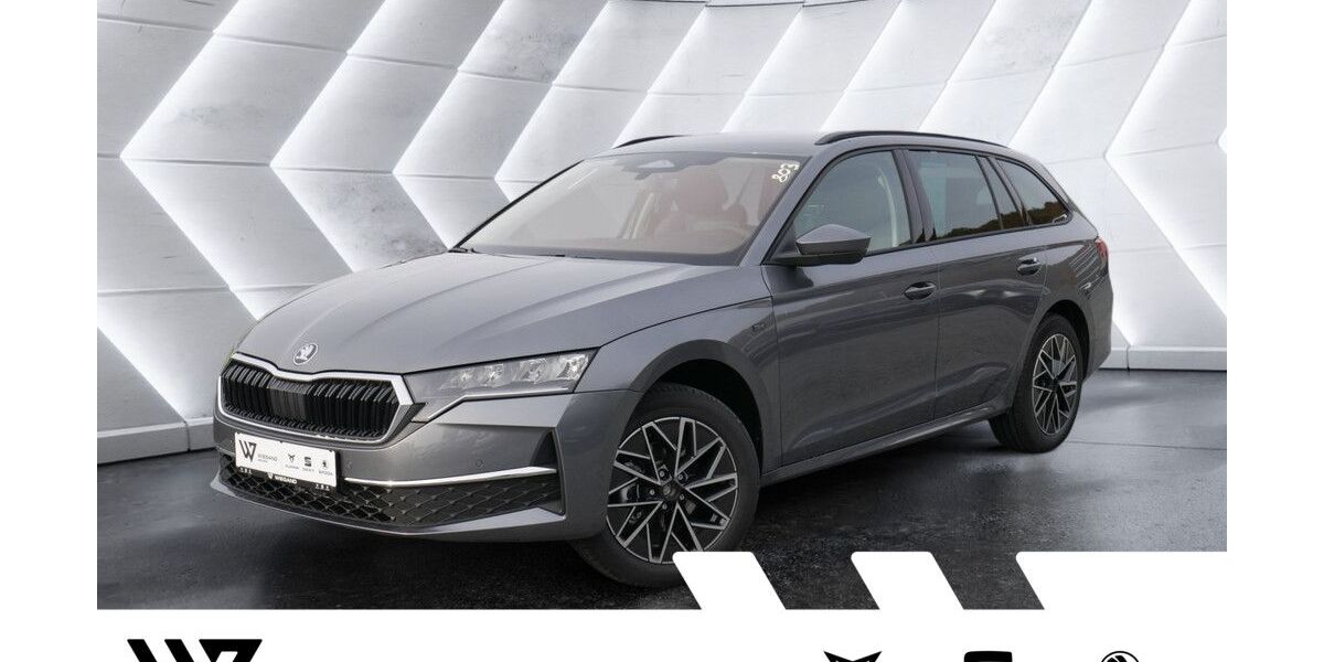 Skoda Octavia 1.500 km 37.390 &euro; Gelnhausen 63571