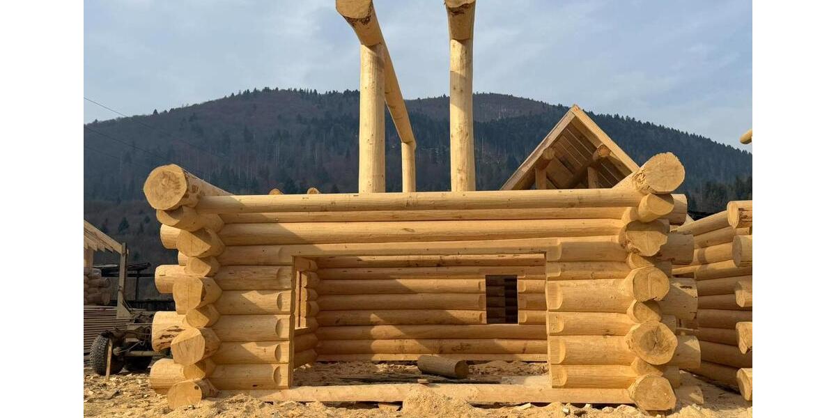 Einfamilienhaus Frankfurt am Main Westend Süd - 40.000&euro; | Angebot:25884217