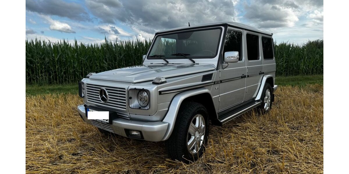 Mercedes-Benz G 500 180.000 km 39.000 &euro; Niedernberg 63843