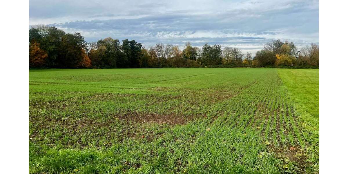 Grundstück Frankfurt am Main Bonames - 59.900&euro; | Angebot:23434070