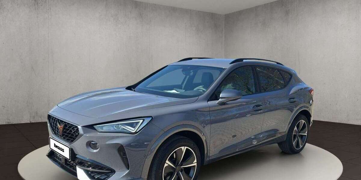 Cupra Formentor 39.850 km 24.990 &euro; Frankfurt-Rödelheim 60488