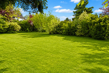 Grundstück Bad Homburg vor der Höhe Dornholzhausen - 1.950.000&euro; | Angebot:26751818