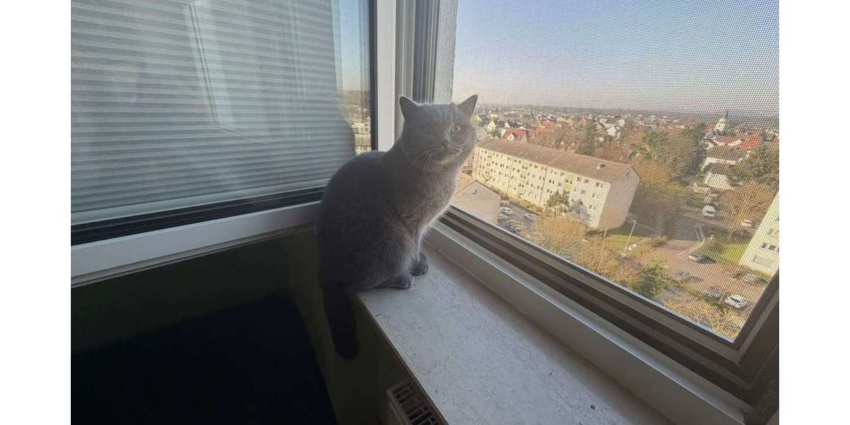 Wohnung zum Kaufen in Maintal 265.000 € 75 m² - Etagenwohnung Maintal | Angebot:25362495