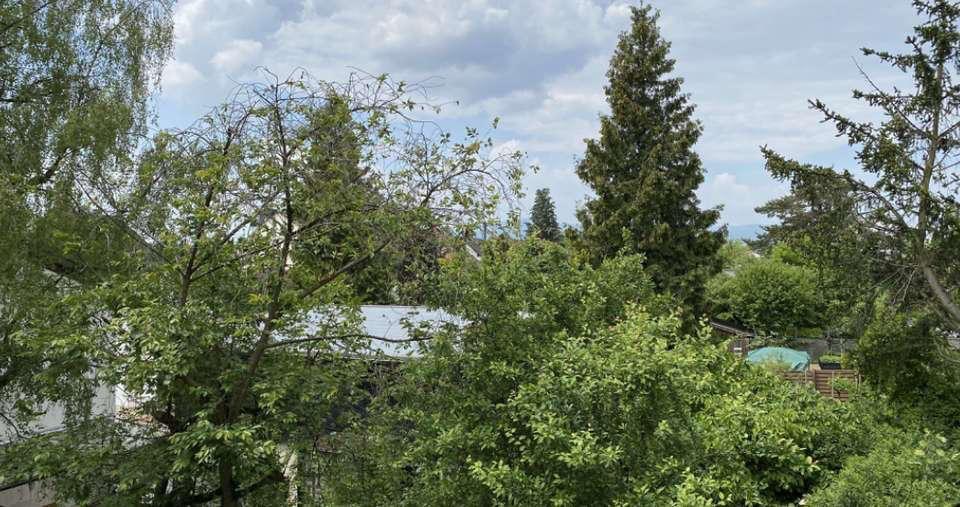 Etagenwohnung Frankfurt am Main Bonames - 1 Zimmer, 20 m&sup2;, 530&euro; | Angebot:26032239