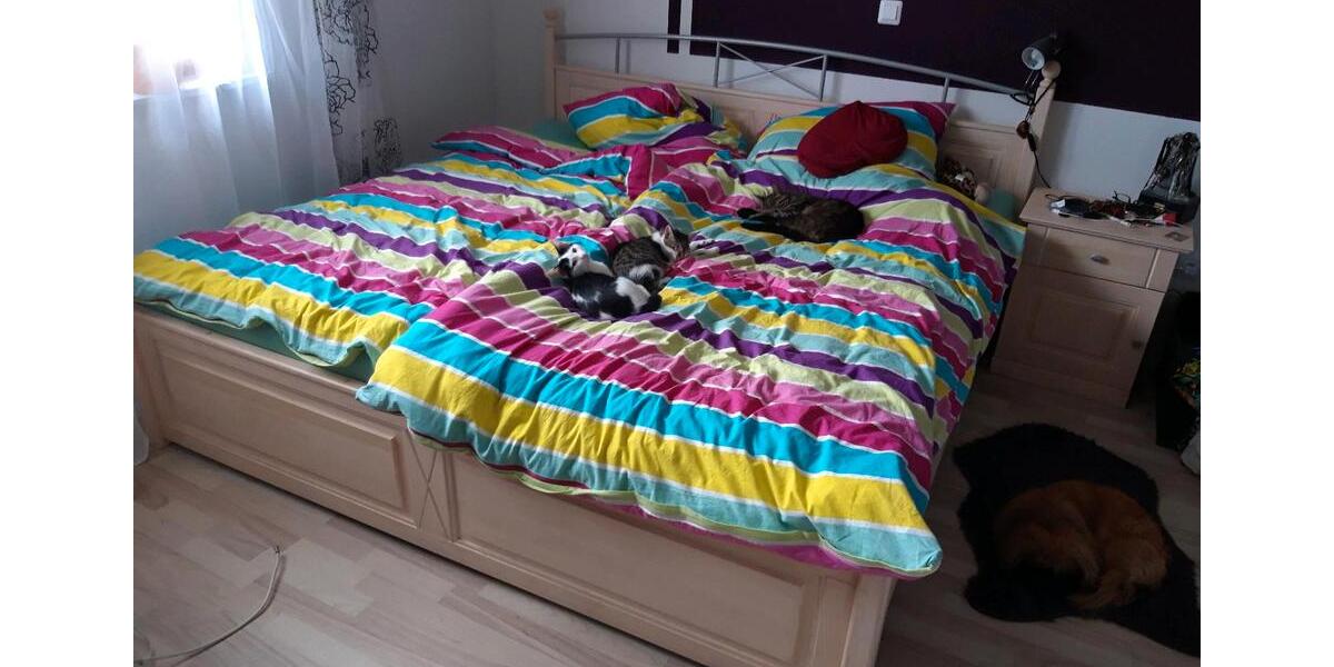 Einfamilienhaus Aschaffenburg Österreicher Kolonie - 7 Zimmer, 180 m&sup2;, 350.000&euro; | Angebot:25964686