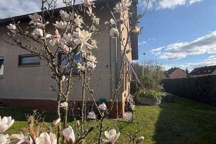 Haus zum Kaufen in Wöllstadt 395.000 € 120 m² - Haus Wöllstadt | Angebot:26030324