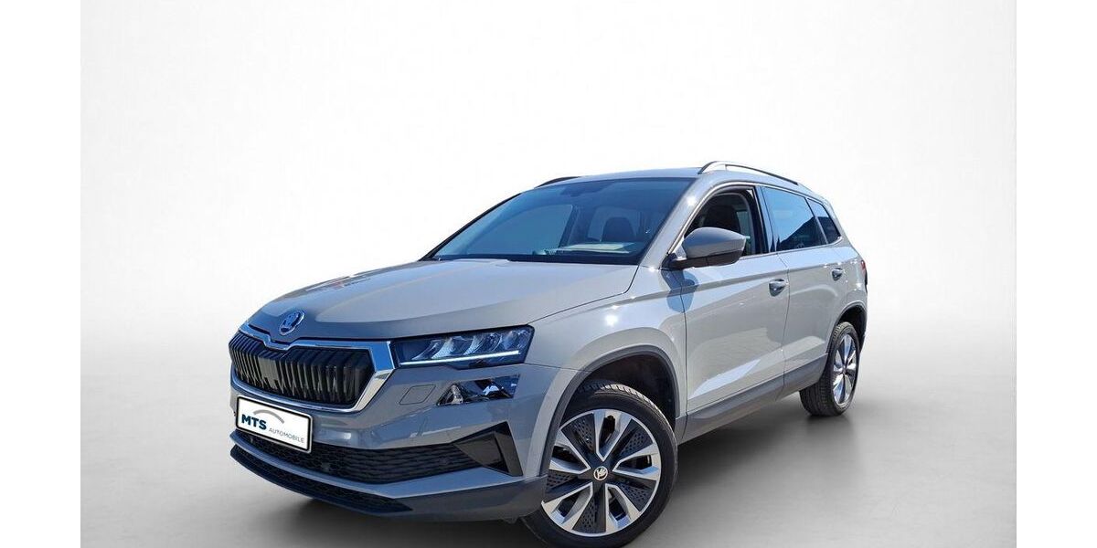 Skoda Karoq 58.867 km 25.150 &euro; Friedberg 61169