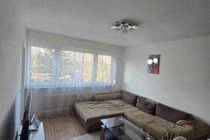 Wohnung Offenbach am Main Bieberer Berg - 2 Zimmer, 30 m&sup2;, 880&euro; | Angebot:25395519