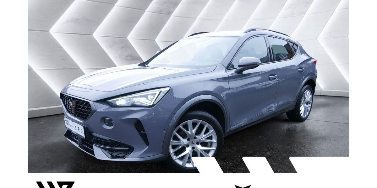 Cupra Formentor 149.650 km 19.974 &euro; Büdingen-Düdelsheim 63654