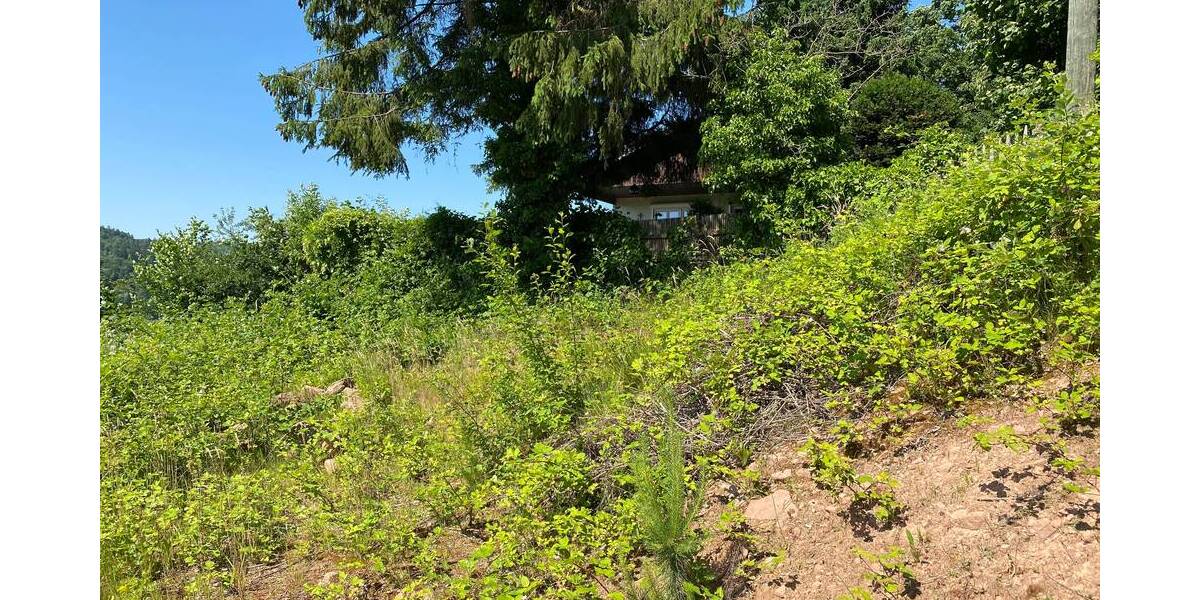 Grundstück Biebergemünd Bieber - 165.000&euro; | Angebot:25740826