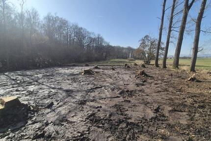 Haus Rosbach vor der Höhe - 15.000&euro; | Angebot:25378496