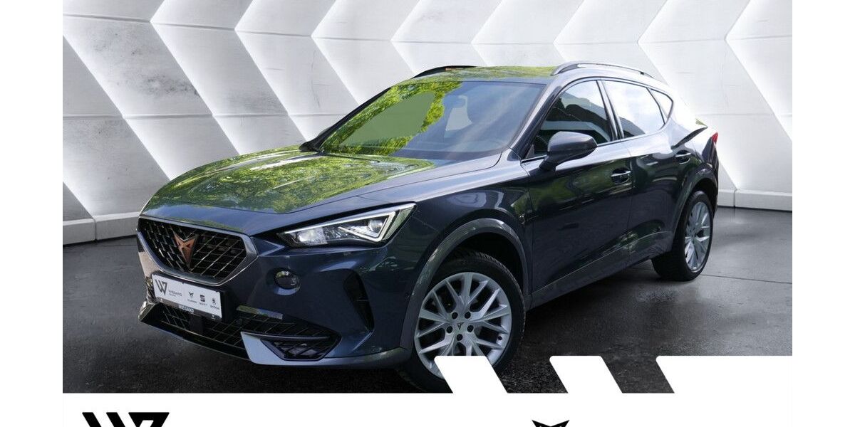 Cupra Formentor 101.362 km 21.387 &euro; Gelnhausen 63571