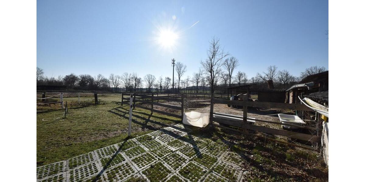 Gewerbeobjekt Seligenstadt - 1.300&euro; | Angebot:25431487