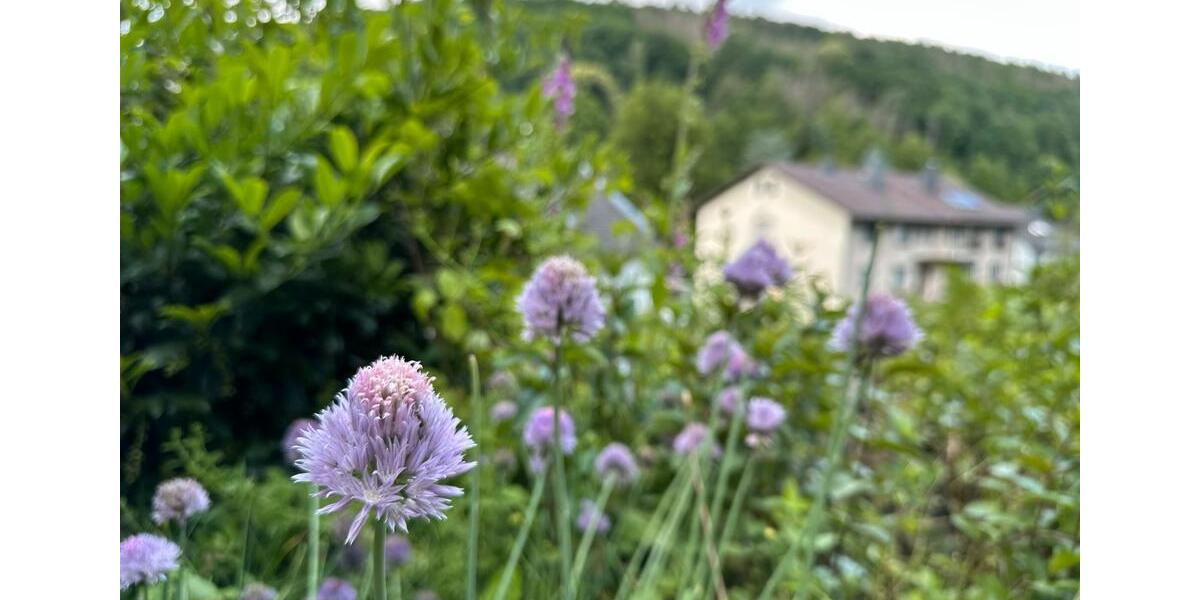 Etagenwohnung Karlstein am Main - 1.5 Zimmer, 45 m&sup2;, 810&euro; | Angebot:25879204