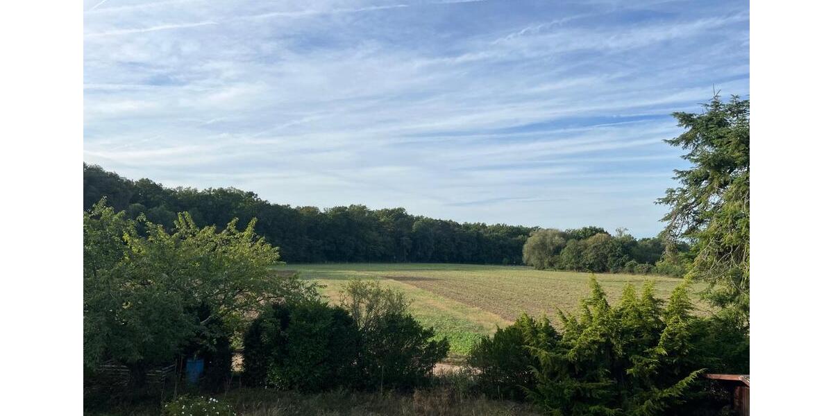 Einfamilienhaus Rodenbach - 640.000&euro; | Angebot:25291433