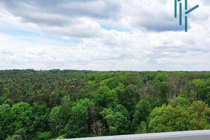 Wohnung Heusenstamm - 3 Zimmer, 89 m&sup2;, 229.000&euro; | Angebot:23692476