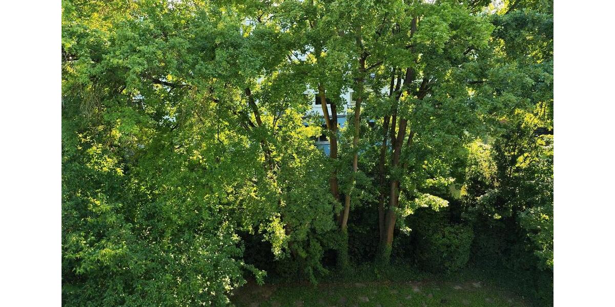 Etagenwohnung Frankfurt am Main Mitte-West - 3 Zimmer, 65 m&sup2;, 350.000&euro; | Angebot:25979202