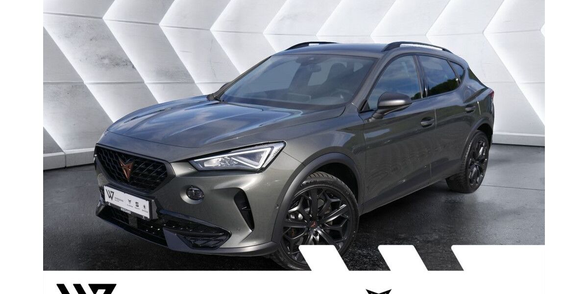 Cupra Formentor 47.895 km 33.627 &euro; Gelnhausen 63571