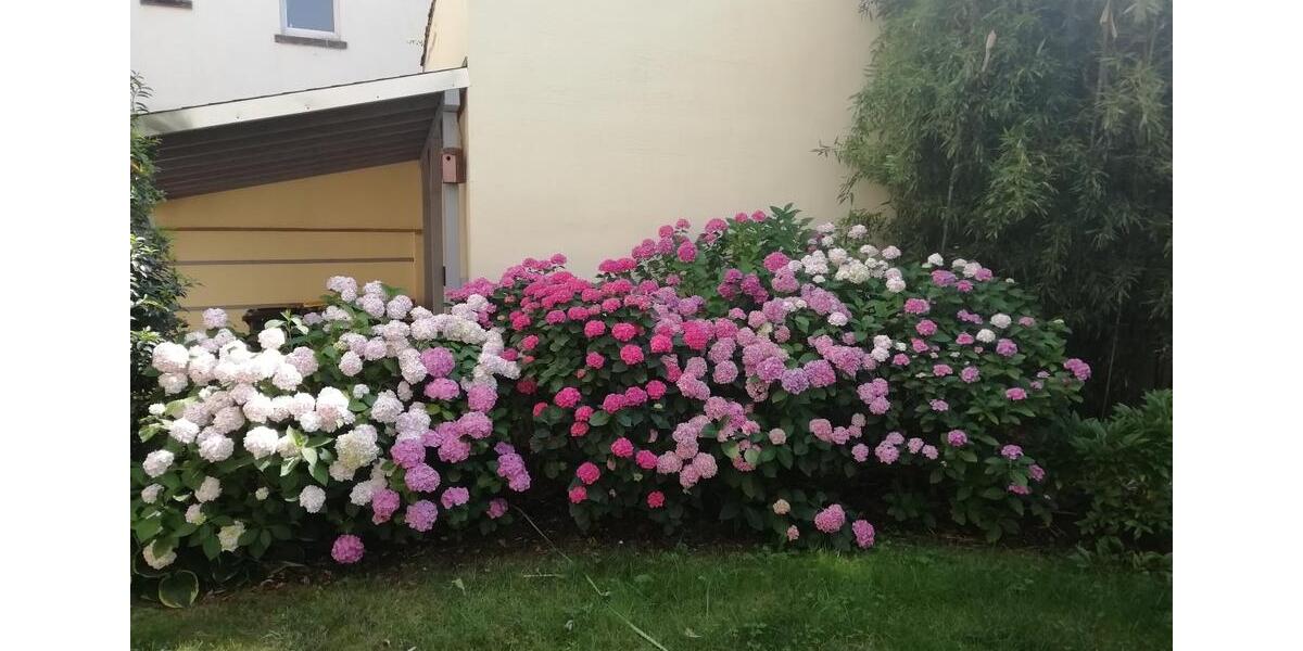 Etagenwohnung Bad Vilbel - 2 Zimmer, 63 m&sup2;, 820&euro; | Angebot:25431445