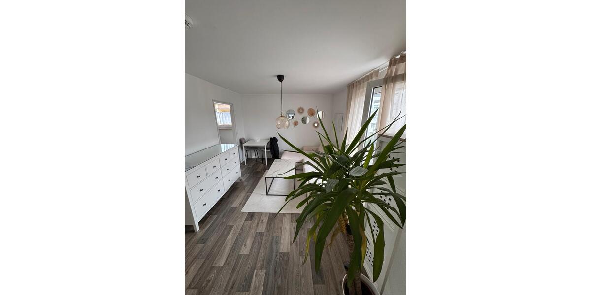 Etagenwohnung Frankfurt am Main Rödelheim - 2 Zimmer, 41 m&sup2;, 810&euro; | Angebot:25929757