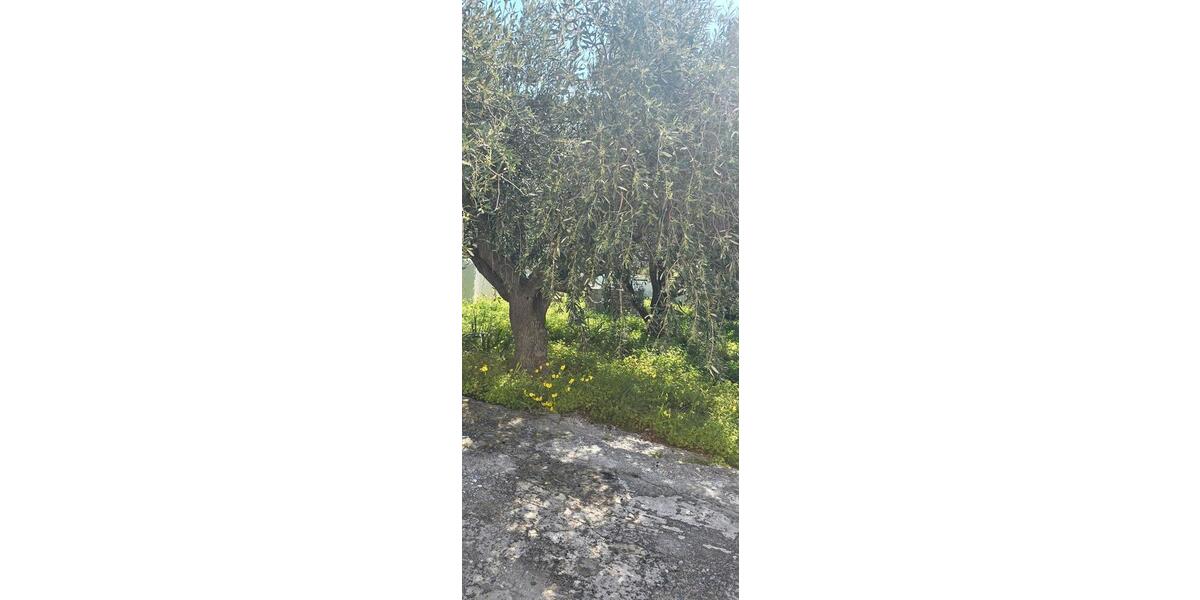 Einfamilienhaus Glattbach - 4 Zimmer, 170 m&sup2;, 180.000&euro; | Angebot:26068095